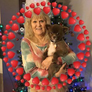 Meet your Posher, Judy